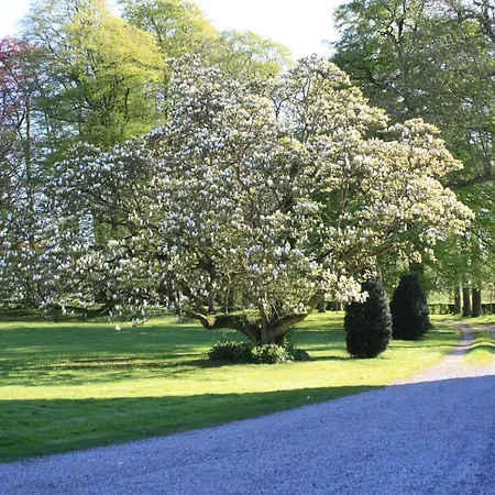 Dans Propriete Appartamento Wierre-au-Bois